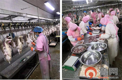 德州禹城市倫鎮 “四個強化”筑牢餐飲安全防線，守護群眾“舌尖上的安全”